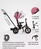 Велосипед EVOLUTION AIR WERTER BERGER трехколесный