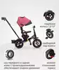 Велосипед EVOLUTION AIR WERTER BERGER трехколесный
