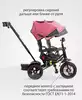 Велосипед EVOLUTION AIR WERTER BERGER трехколесный