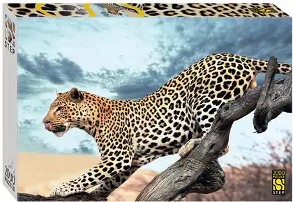 Пазл 2000 эл. Леопард в дикой природе 84053 STEPpuzzle
