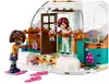 Конструктор Праздничное приключение в Иглу 41760 491 дет. LEGO Friends