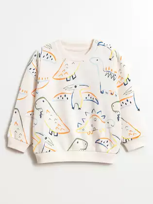 Свитшот Vulpes