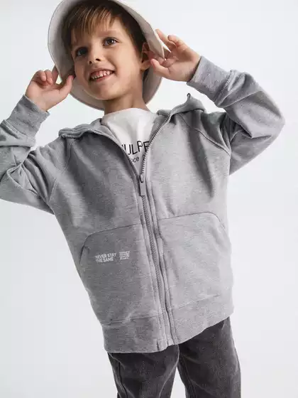 Толстовка Vulpes