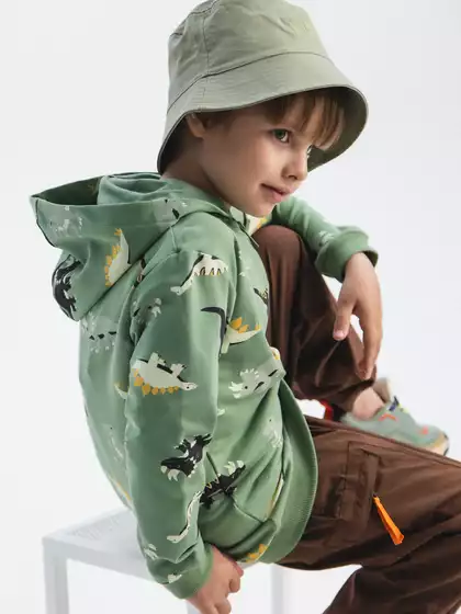 Толстовка Vulpes