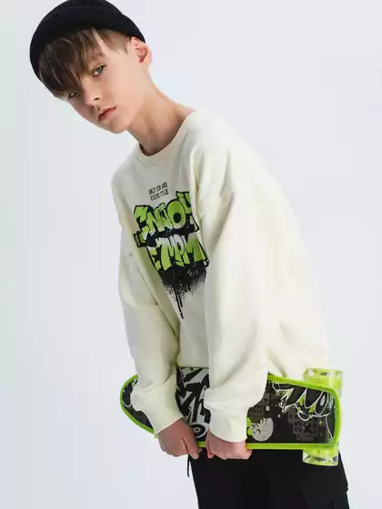 Свитшот Vulpes