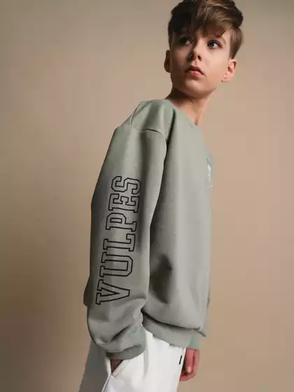 Свитшот Vulpes