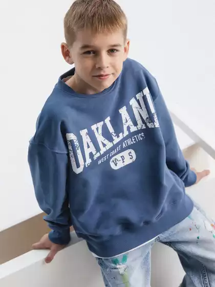 Свитшот Vulpes