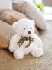 Мягкая игрушка Медведь Франчи 25 см 058D-4605D