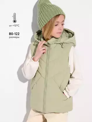 Жилет Vulpes