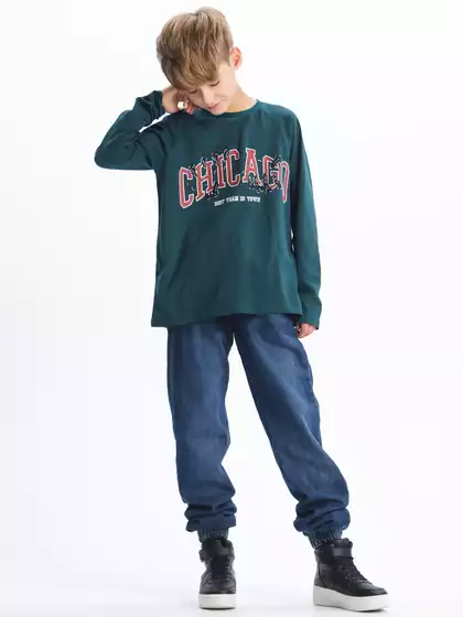 Джоггеры утепленные Vulpes