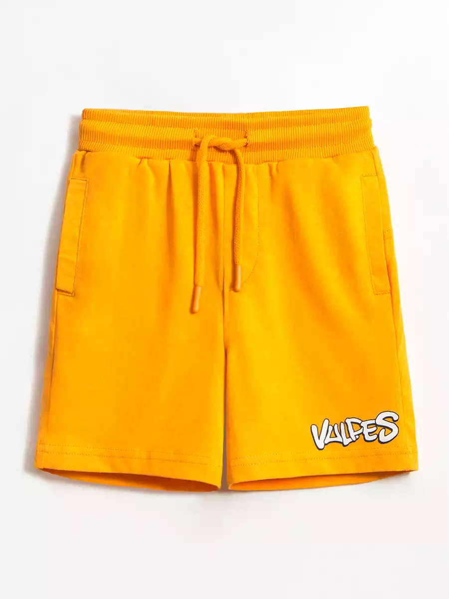 Шорты 10621SS25 Vulpes