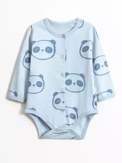 Боди