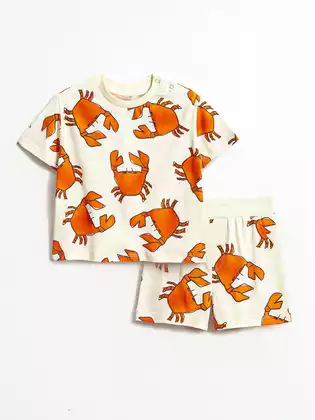 Комплект Vulpes