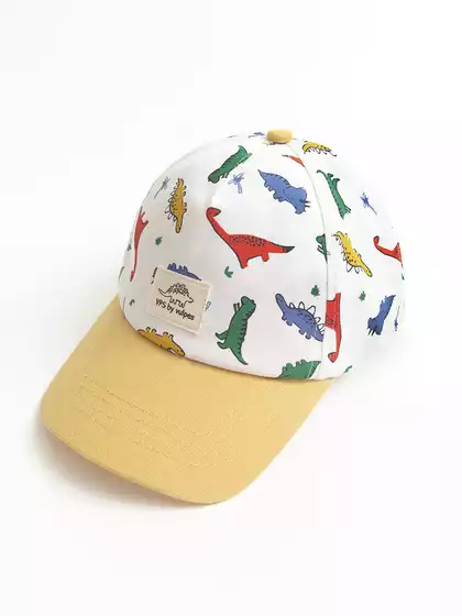 Бейсболка Vulpes 22VS217-24