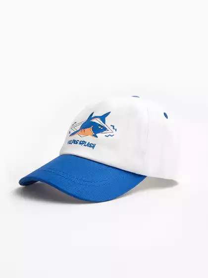 Бейсболка Vulpes 24AS300