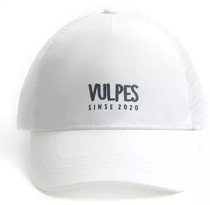 Бейсболка Vulpes 24AS324