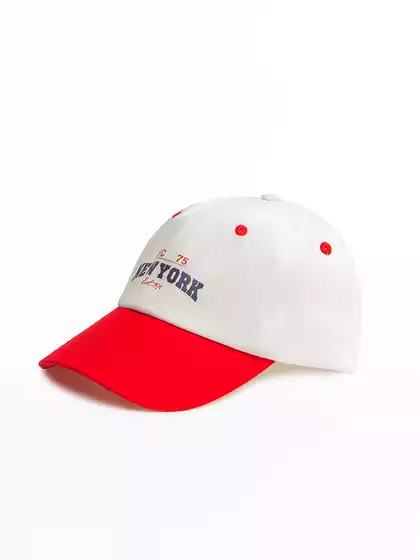 Бейсболка Vulpes 24AS329