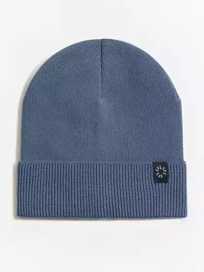 Шапка Vulpes VBH104