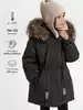 Куртка Vulpes