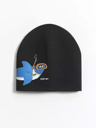 Шапка Vulpes P-848-06-Vs