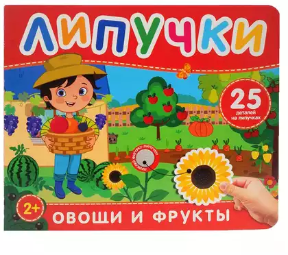 Книга Фрукты и овощи Котятова Н. И. 12 стр 9785353110842 Липучки