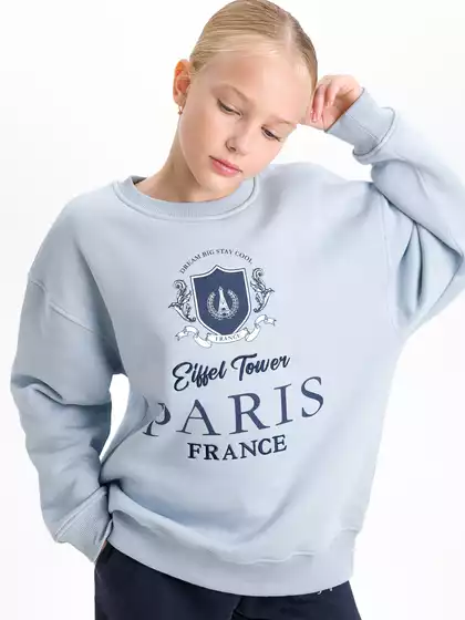 Свитшот с начёсом Vulpes