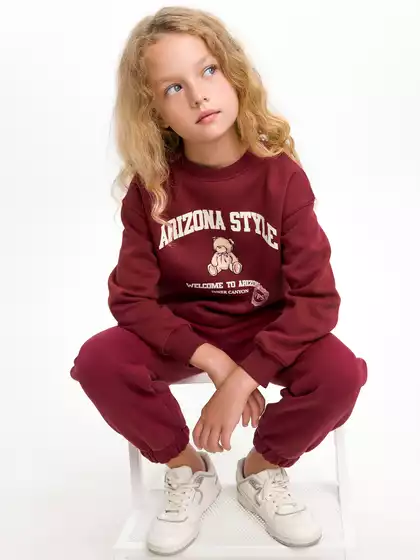 Трикотажные брюки-джоггеры с начёсом Vulpes