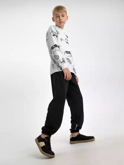 Трикотажные брюки Vulpes