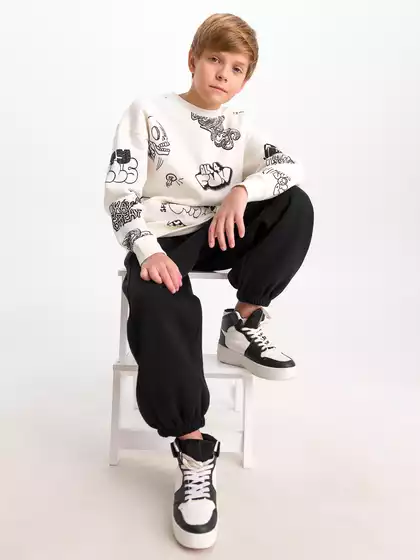 Трикотажные брюки с начесом Vulpes