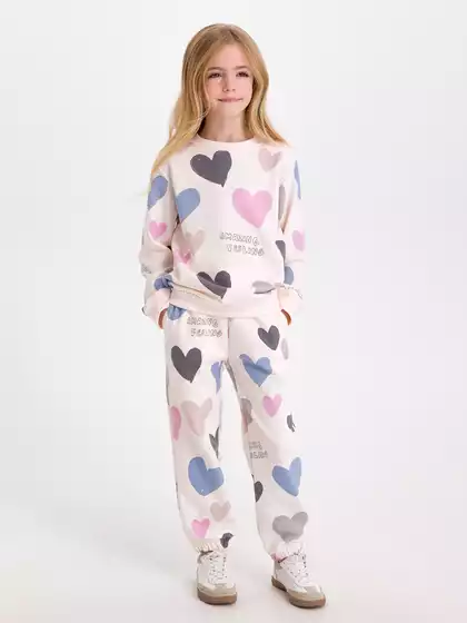 Трикотажные брюки-джоггеры Vulpes