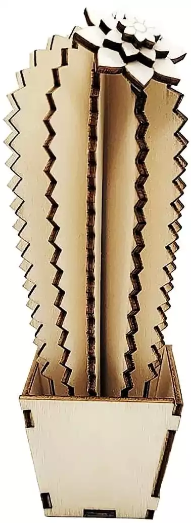 Пазл 3D Кактус-1 ЮГ 19 Апилка