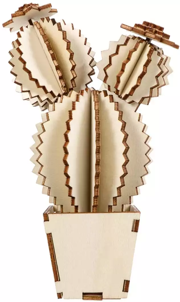 Пазл 3D Кактус-2 ЮГ 20 Апилка