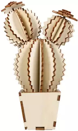 Пазл 3D Кактус-2 ЮГ 20 Апилка