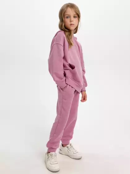 Трикотажные брюки-джоггеры Vulpes