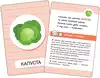 Развивающие карточки Первые слова Фрукты и овощи 40930