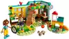 Конструктор Комната Отумн LEGO Friends, 222 дет.
