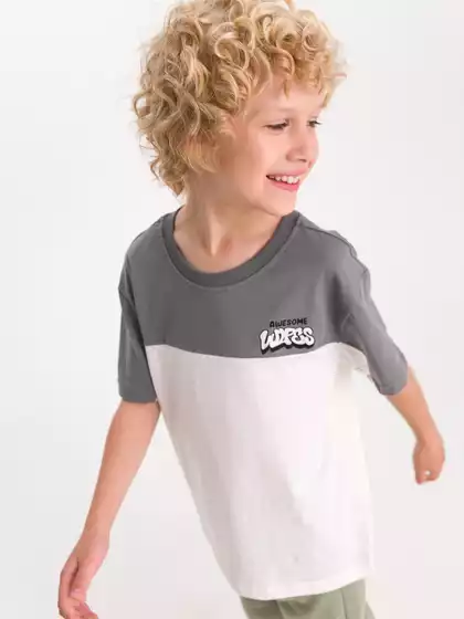 Футболка Vulpes