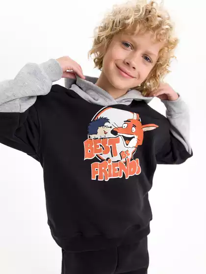 Худи с начесом Vulpes