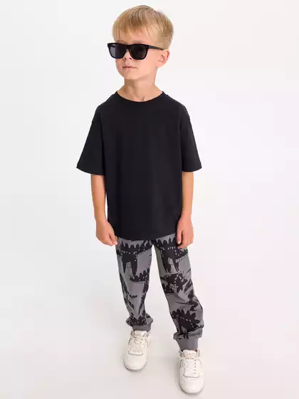 Трикотажные брюки Vulpes