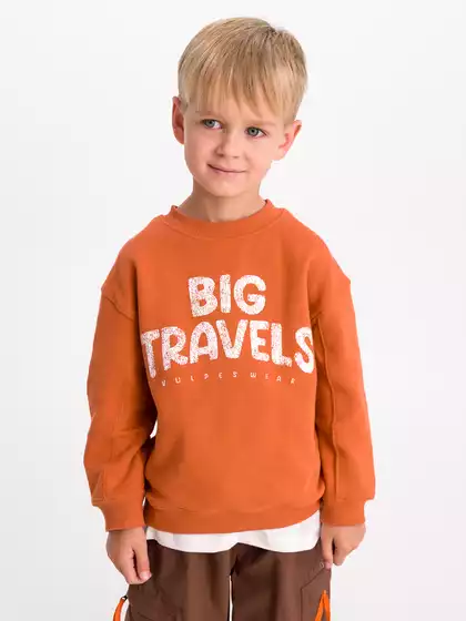 Свитшот Vulpes