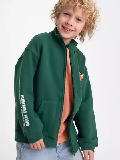 Толстовка с начесом Vulpes