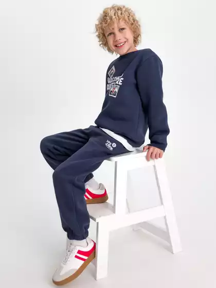 Трикотажные брюки с начесом Vulpes