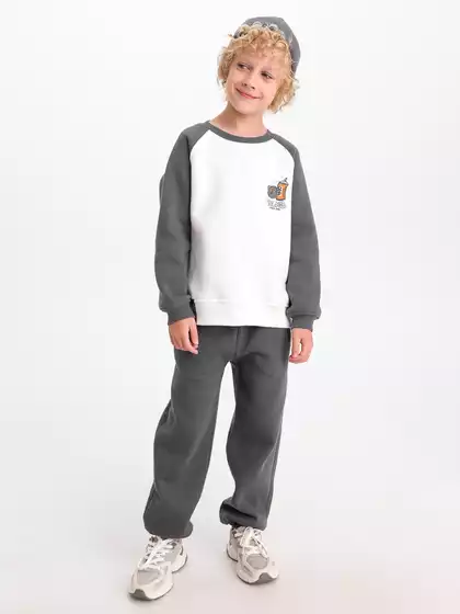 Трикотажные брюки с начесом Vulpes