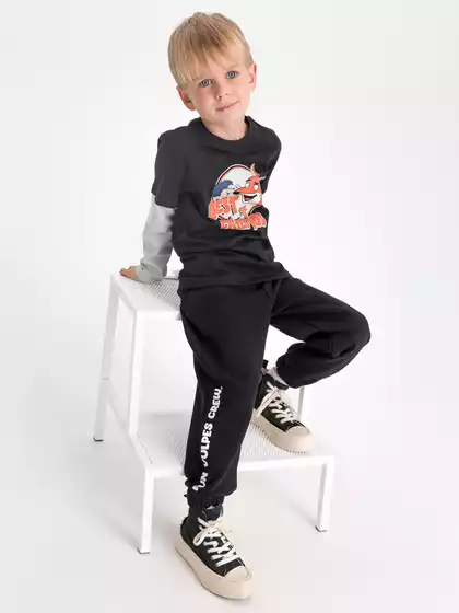 Трикотажные брюки Vulpes