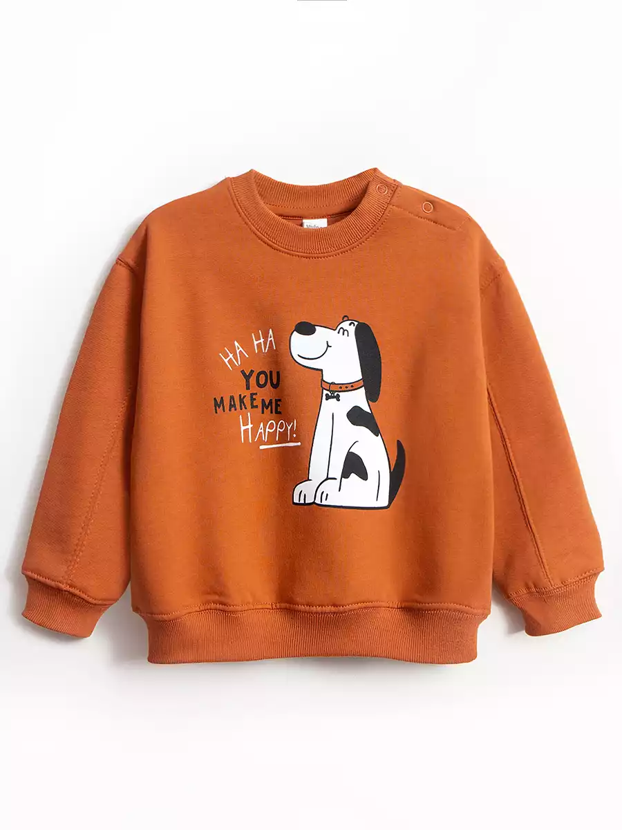 Свитшот с начёсом Vulpes