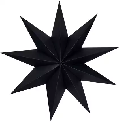 Звезда 18,5 см черный 058D-6784D