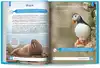 Книга Умная Энциклопедия Природа России Ульева Е. 112 стр 9785222408681