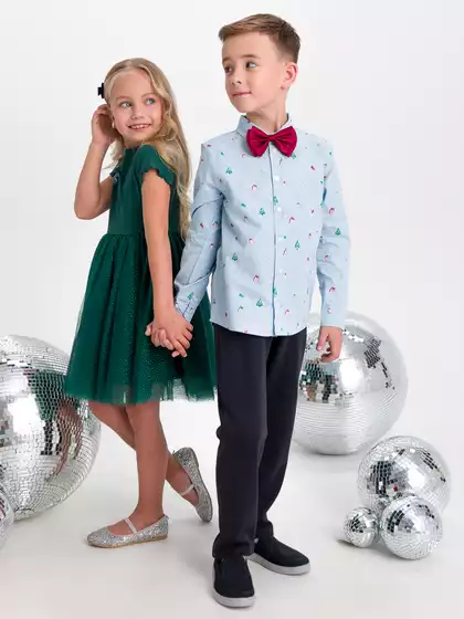 Классические брюки Vulpes