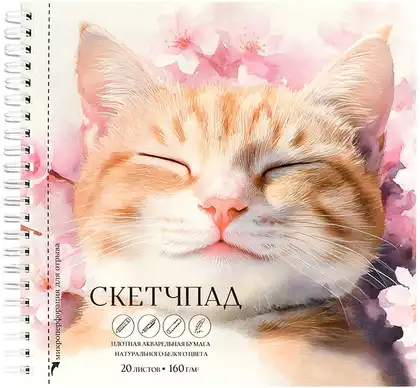 Скетчпад СПЯЩИЙ КОТ 20л 195х195мм рисовальная бумага 160г 70147