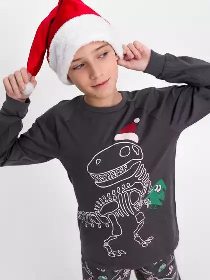 Пижама новогодняя Vulpes